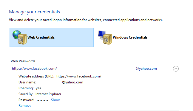 windows credential manager view password