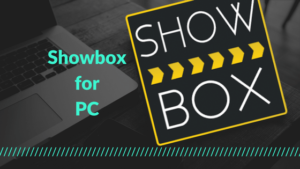 Read more about the article How to Install Showbox on Your PC